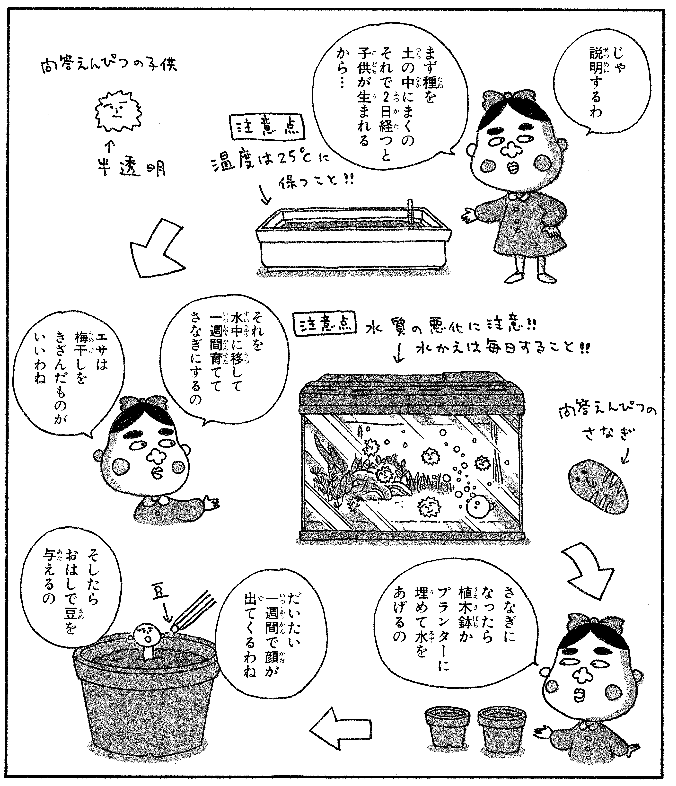 非売品 ステッカー Cojicoji Museum Play さくらもこ コジコジ セット チラシ 漫画 あす楽対応 チラシ